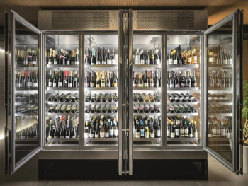 The Best Bottle Wine Coolers for 2024