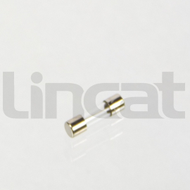 50Ma Fuse T 20X5Mm 