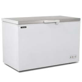 Stainless Steel Chest Freezer | Commercial Deep Freezer | 450L Capacity | Blizzard CF450SS