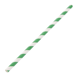 Biodegradable Paper Straws | Green Striped Eco Drinking Straws | Sustainable Bar Accessories | Fiesta Green DE928