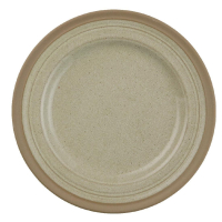 Stoneware Plates | Restaurant Plates | 230mm Diameter | Churchill Igneous CD138