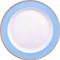 Service Plates | Blue Dinner Plates | 300mm Catering Tableware | Steelite Rio V3073