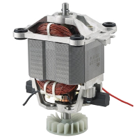 Buffalo AJ047 Motor Replacement Spare Part for Soup Kettle (Fits CR836, DR825)