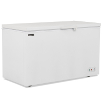 Commercial Chest Freezer | 550L Capacity | Deep Freezer | Blizzard CF550WH