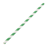 Biodegradable Paper Straws | Green Striped Eco Drinking Straws | Sustainable Bar Accessories | Fiesta Green DE928
