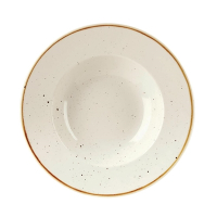 Round Wide Rim Bowl | Stonecast Barley White | 240mm Porcelain Dinnerware | Churchill DF799