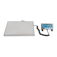 Commercial Bench Scales | Electronic Weighing Scales | 60kg Capacity | Salter WS60 DP033
