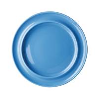 Raised Rim Plates | Heritage Blue Plates | 253mm Diameter | Olympia DW141