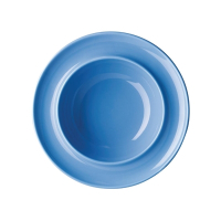 Porcelain Raised Rim Bowl | Blue Heritage Bowl | 205mm Dining | Olympia DW142