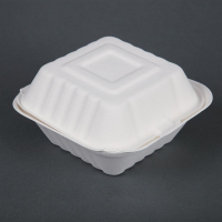 Compostable Burger Boxes | Bagasse Food Containers | 146mm Eco-Friendly | Fiesta Green DW246
