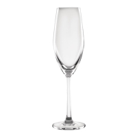 Flute Glasses | Champagne Glasses | 210ml Pack of 6 | Olympia Cordoba FB554