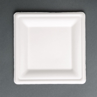 Compostable Square Plates | Bagasse Eco-Friendly Tableware | 261mm | Fiesta Green FC520