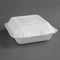 Compostable Bagasse Hinged Food Containers | Eco-Friendly Takeaway Boxes | 204mm | Fiesta Green FC525
