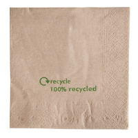 Compostable Kraft Lunch Napkins | Eco-Friendly Napkins | 330mm | GH031