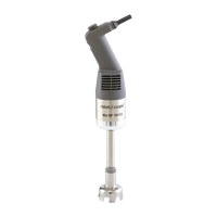Commercial Stick Blender | Mini Hand Blender | Variable Speed | Robot Coupe MP190 VV GL501