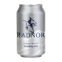 Sparkling Spring Water Cans | 330ml | 24 Pack | Commercial Beverage | Radnor HP973