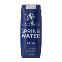 Commercial Still Spring Water | Tetra Pak Cartons | 250ml 24 Pack | Radnor HP975