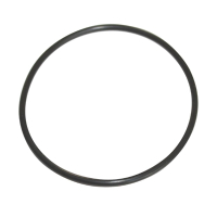 Santos N173 O-Ring Seal (62 x 2.5) Replacement Spare Part (Fits Santos High Output Juicer)