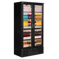 Commercial Bottle Cooler | Upright Fridge | Double Hinged Door with LED Lighting | King KG500