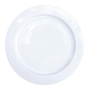 Churchill Alchemy Plates | Fine Dining Porcelain Plates | 254mm Diameter | Churchill C708